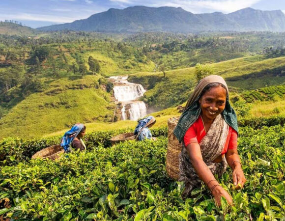 A Place where Start New Life with Peace